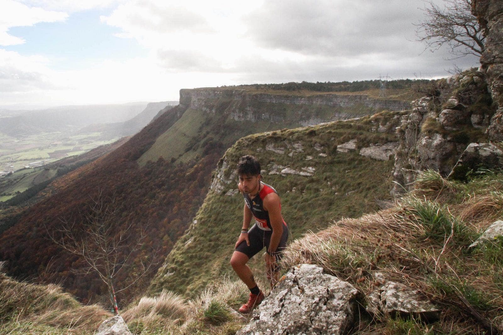 Route through beech forests