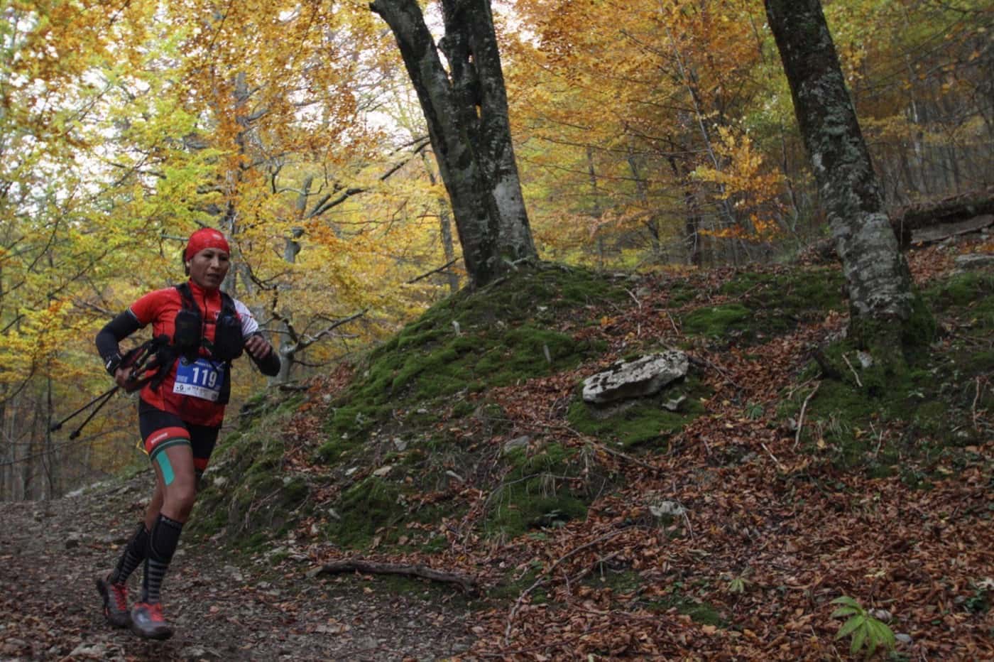 Korrikalariak basoen artean herrikoia 14km lasterketan