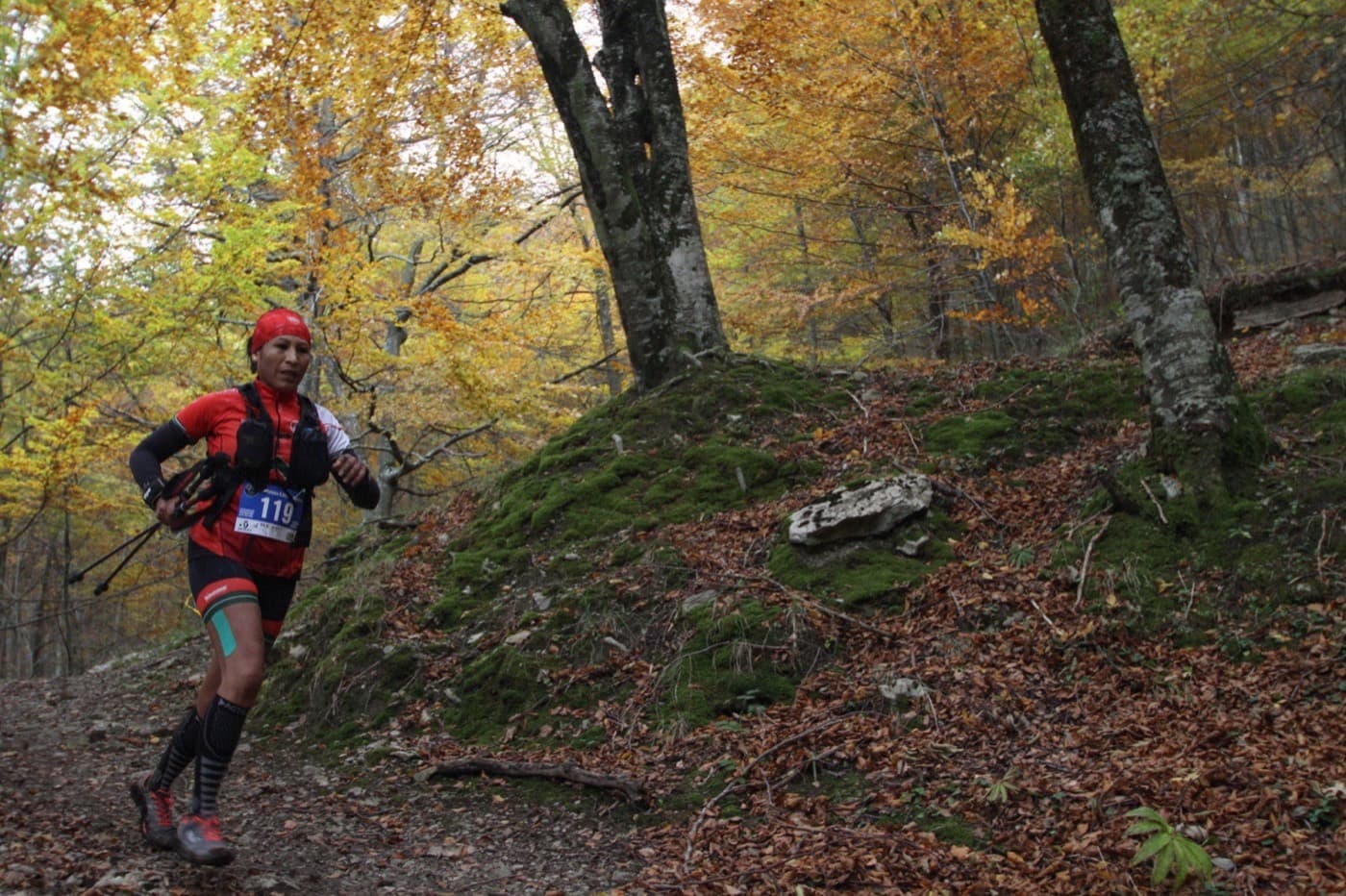 Trail entre bosques